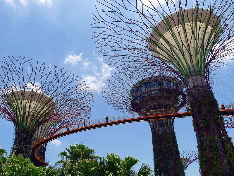 Supertrees и Skyway на садах заливом в Singaopre стоковые фото Supertrees и Skyway на садах заливом в Singaopre стоковые фото