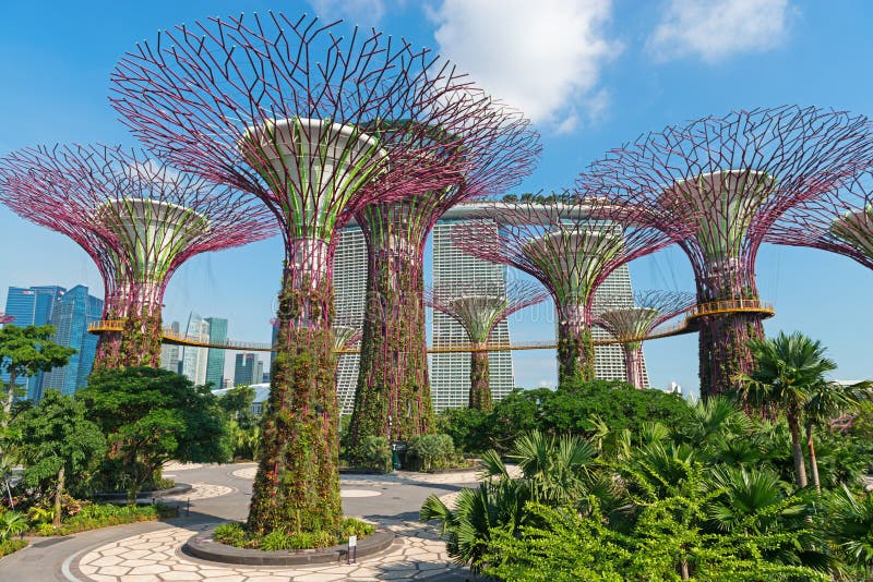 Supertrees на садах парком залива, Сингапуре стоковая фотография Supertrees на садах парком залива, Сингапуре стоковая фотография