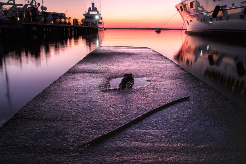 Superyacht at sunset