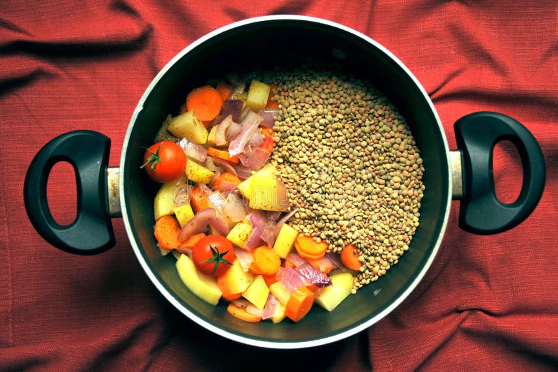 Suppe des strengen Vegetariers mit Linsen und frischem, organischem Gemüse in einer Wanne