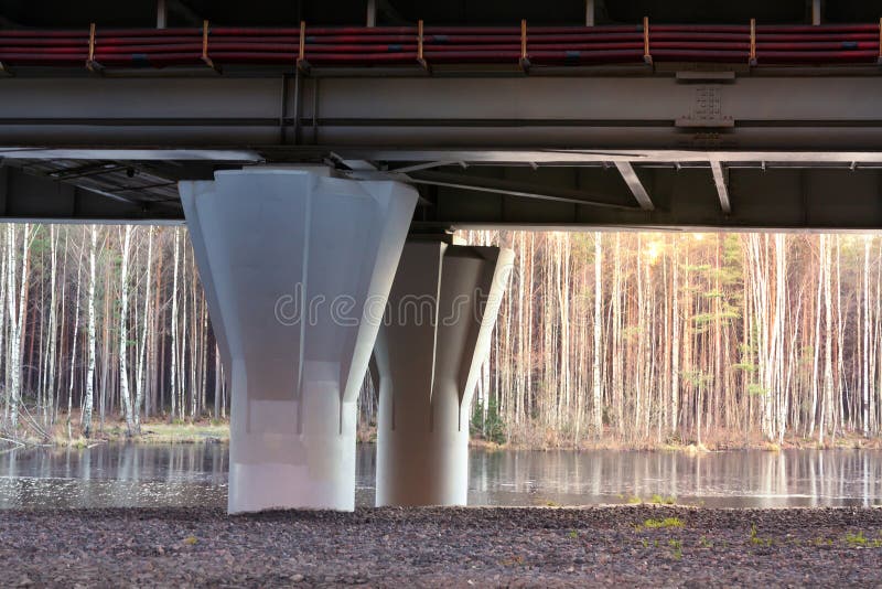 Support of the overpass of the western high-speed diameter - automobile highway.