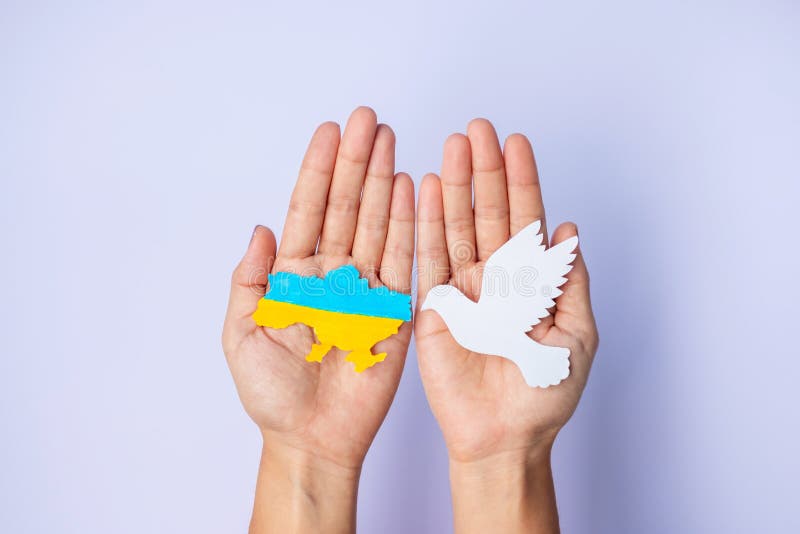 Support for Ukraine in the war with Russia, Hands holding peace dove with border flag of Ukraine. Pray, No war, stop war and stand with Ukraine concepts