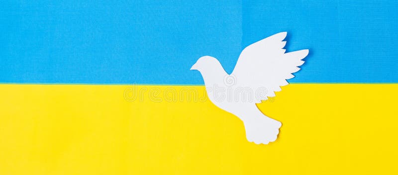 Support for Ukraine in the war with Russia, peace dove with flag of Ukraine. Pray, No war, stop war and stand with Ukraine concepts.