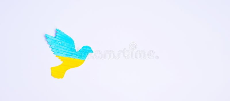 Support for Ukraine in the war with Russia, peace dove with flag of Ukraine. Pray, No war, stop war and stand with Ukraine concepts.