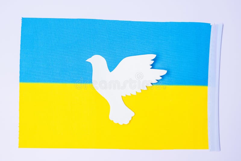 Support for Ukraine in the war with Russia, peace dove with flag of Ukraine. Pray, No war, stop war and stand with Ukraine concepts