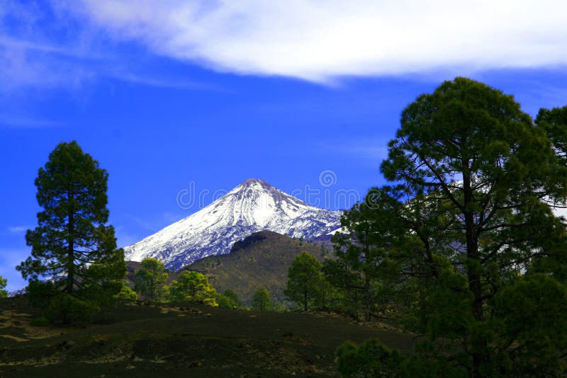 Supporto Teide in Tenerife immagini stock libere da diritti Supporto Teide in Tenerife immagini stock libere da diritti