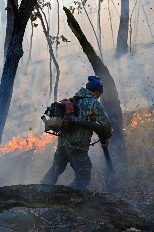 Suppression of Forest Fire 13 Stock Image Image of action, hell 10384151
