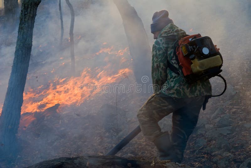 Suppression Of Forest Fire 26 Picture. Image 8167620