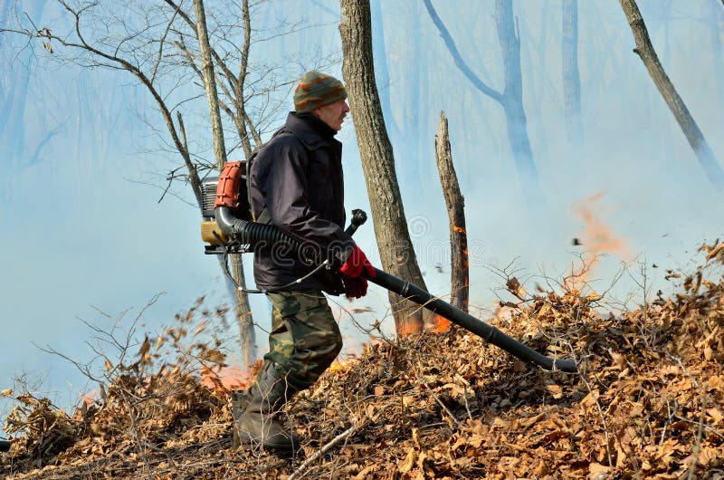 Suppression of Forest Fire 13 Stock Image Image of flammable, outdoor