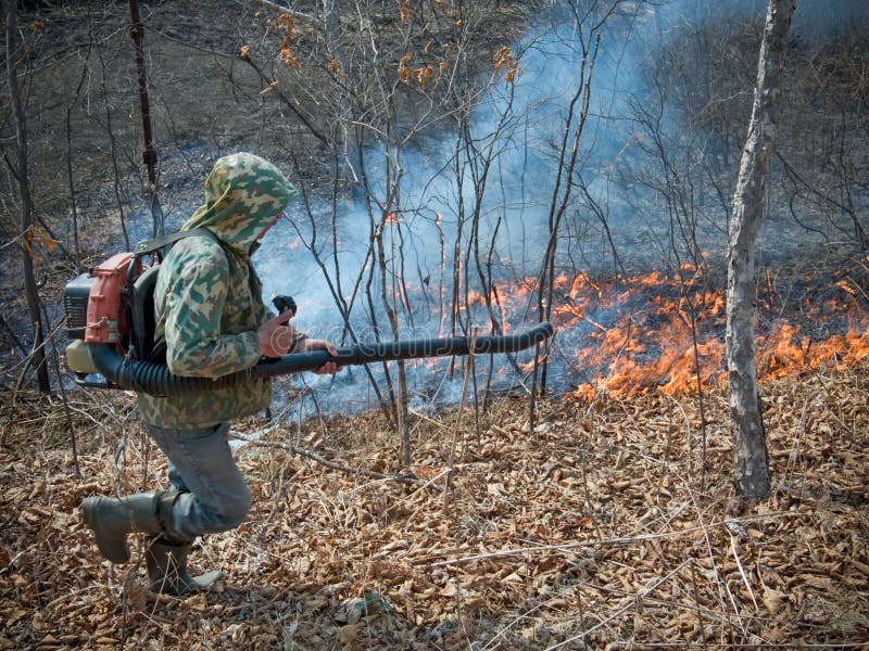 Suppression of Forest Fire 7 Stock Image Image of fiery, keeper 5062117