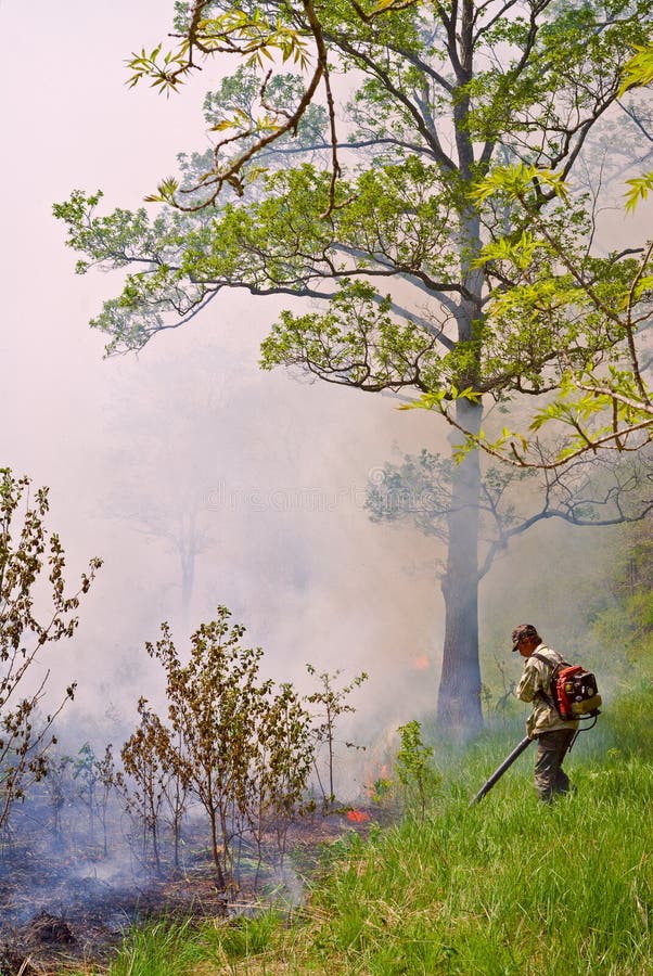 Suppression of Forest Fire 76 Stock Image Image of flame, protection