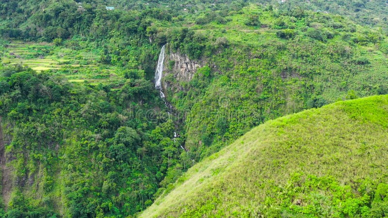 Sur la cordillère des Philippines vue aérienne de l'île de Luçon. Forêt et cascade d'evergreen à flanc de montagne. clips vidéos