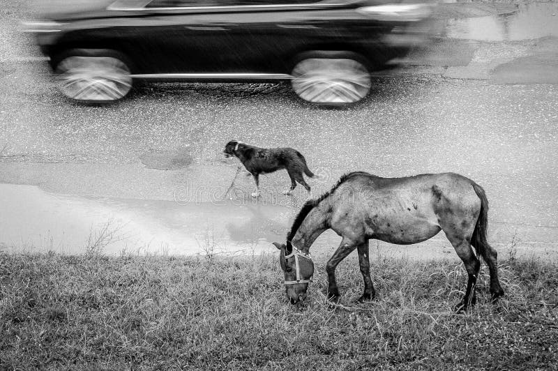 Sur la route photos stock Sur la route photos stock