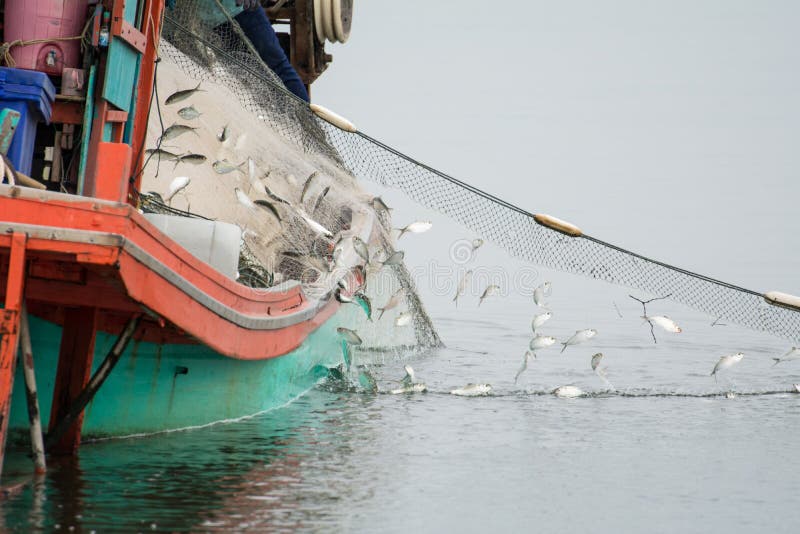Sur le bateau de pêcheur, pêchant beaucoup de poissons images stock Sur le bateau de pêcheur, pêchant beaucoup de poissons images stock