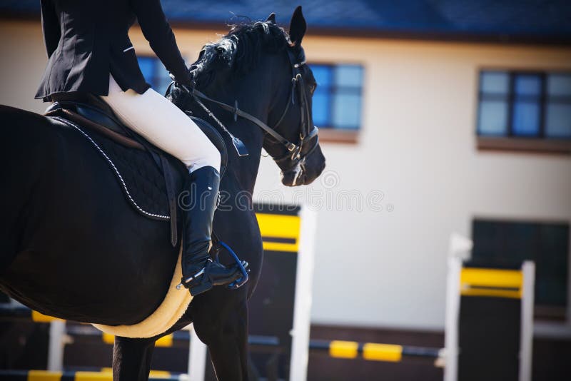 Sur Un Cheval De Course Rapide Noir, Galoper Vers La Barrière, Trouve Un  Cavalier En Selle, Tenant Un Fouet à La Main Équitation Image stock - Image  du purebred, cavalier: 198123065