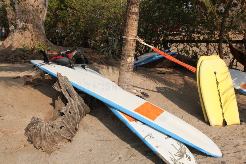 Surf Boards royalty free stock photo Surf Boards royalty free stock photo