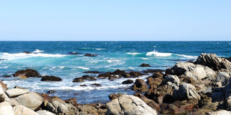 Surf and reef stock image