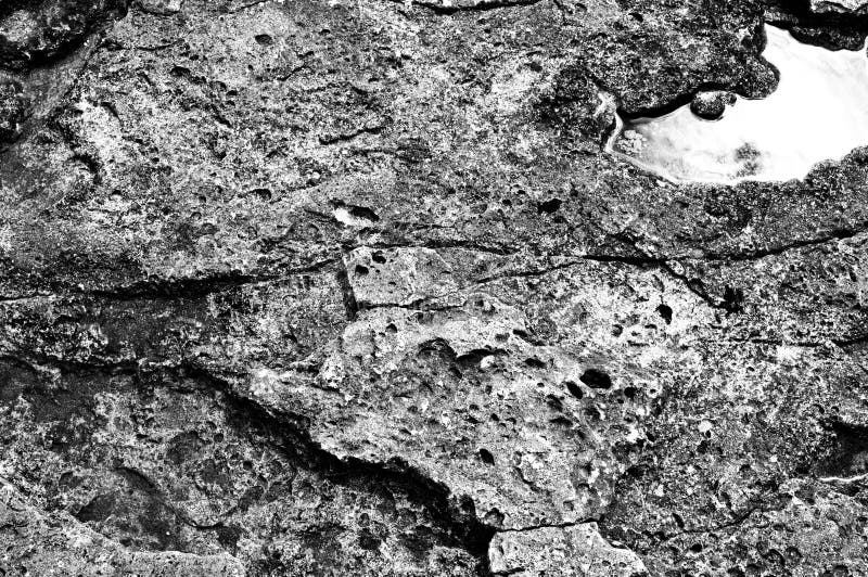 Surface of Stone, Structure Stock Image Image of surface, structure