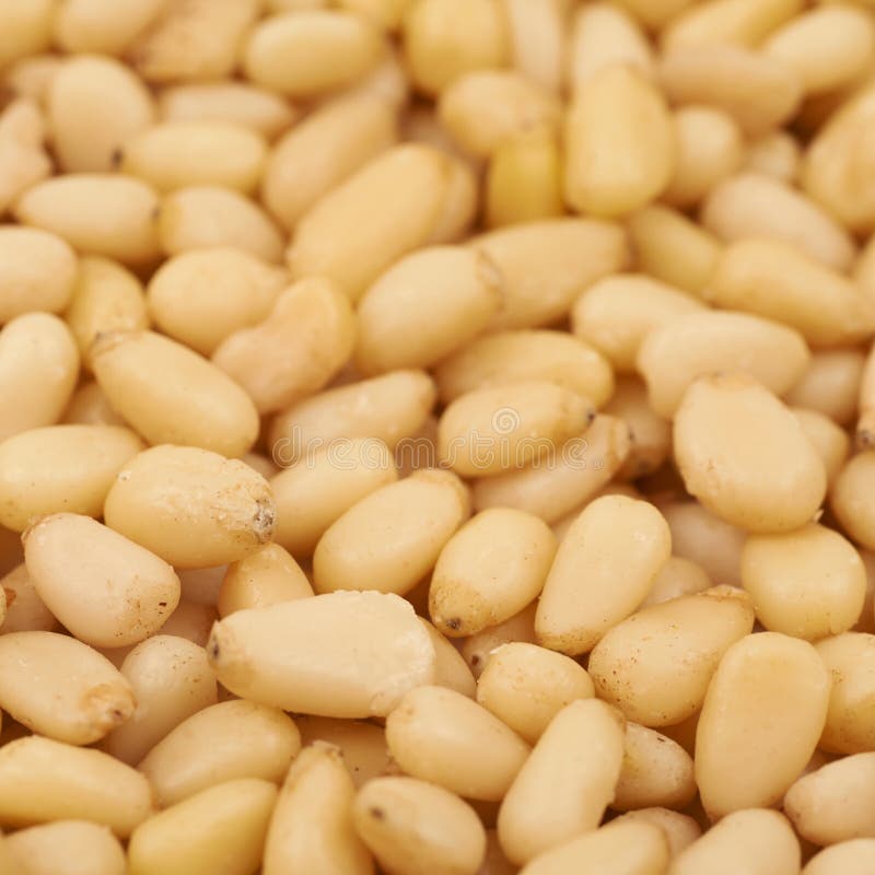 Surface Coated with Pine Nuts Stock Photo Image of edible, nature