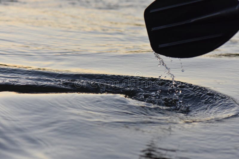 Surface du fleuve avec cercles après chute. Surface de la rivière avec des cercles après la chute baisse dans elle dans le soir aviron noir