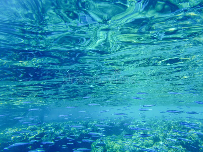 Surface Marine De L'eau. Closeuse Des Vagues Rouges Image stock Image