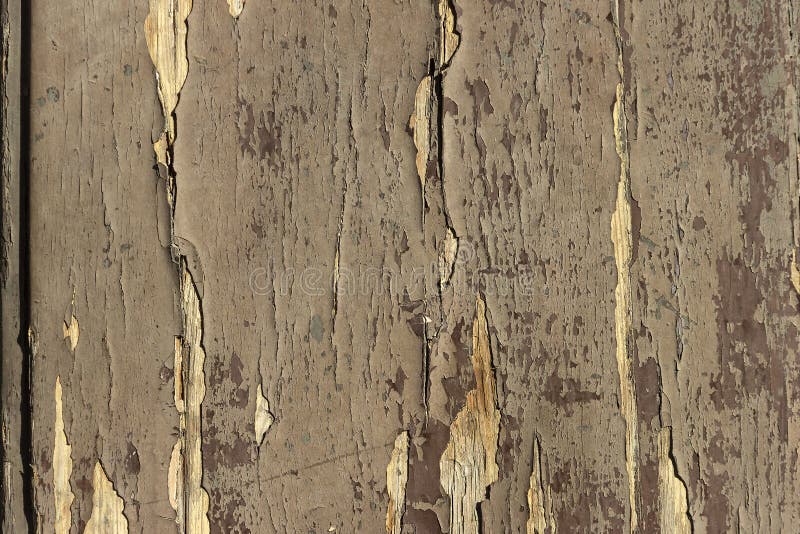 The Surface of the Wooden Door with Weathered, Peeling Paint. Stock