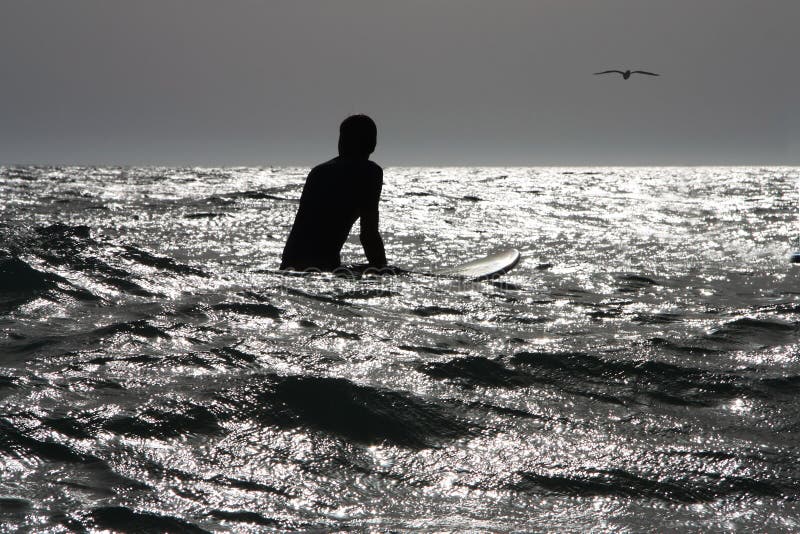 Surfare på havet