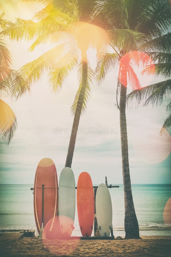 Surfboard and palm tree on beach background