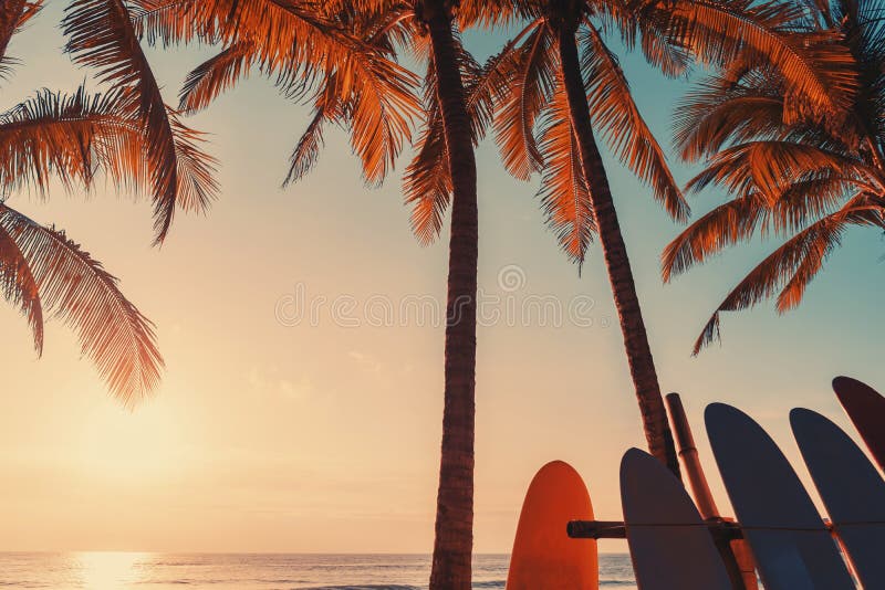 Surfboard and palm tree on beach background