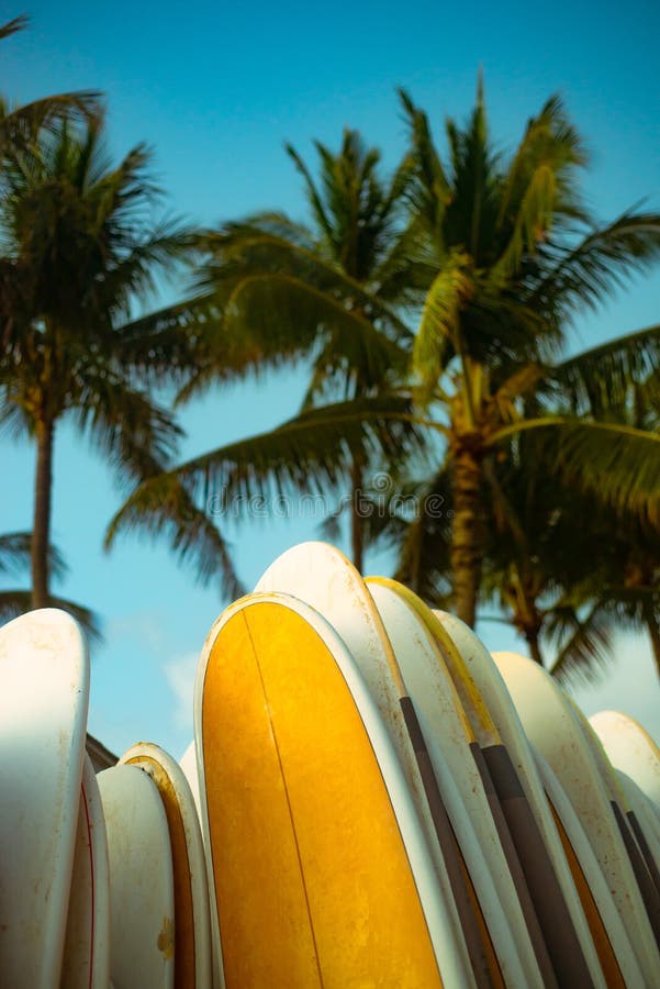 Surfboards on the Beach in Hawaii With Palm Trees and Blue Sky