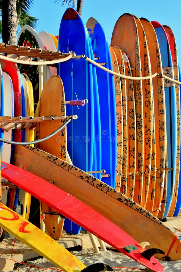 Surfboards Standing in the Sand Stock Photo Image of ocean, trees