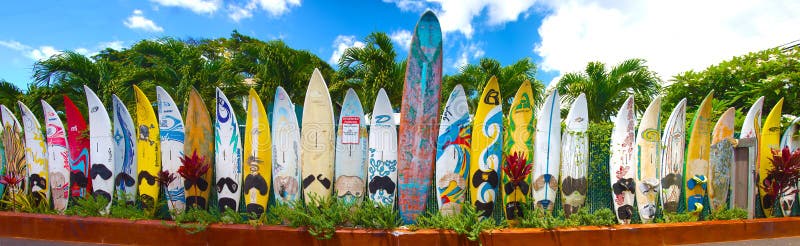 Surfbretter in Hawaii