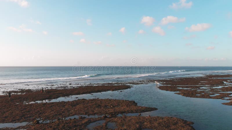 Surfen auf Riff und Wellen im Ozean, Luftsicht in Uluwatu