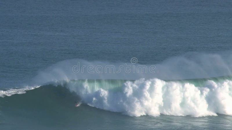 Surfer an den surfenden Kiefern Bruch der großen Welle in Peé©¶ahi am Nordufer der Insel von Maui, Hawaii