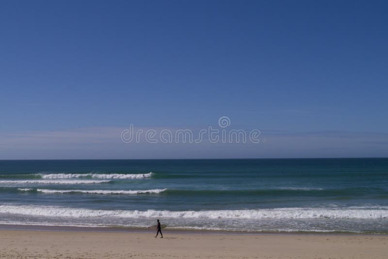 Surfer Gamboa Beach Beleal Peniche Portugal