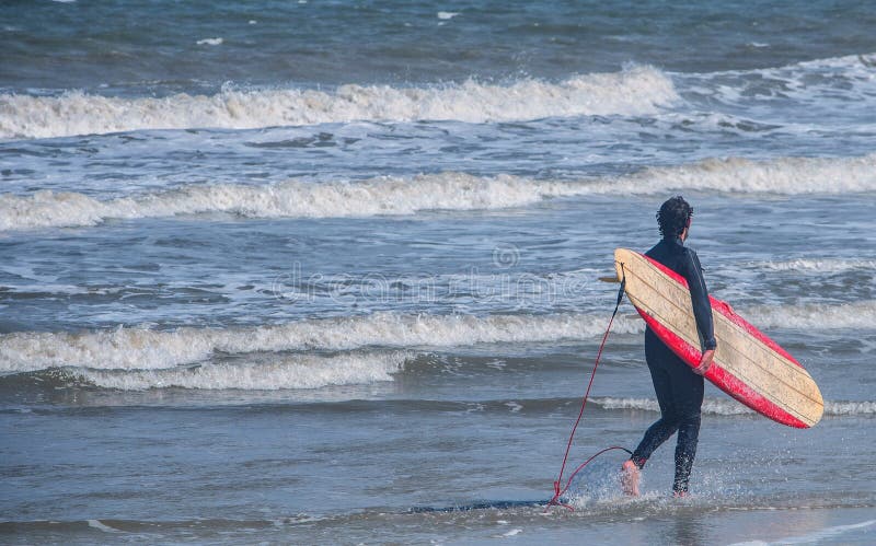 Florida Surfing Stock Photos - Free Download With Trial