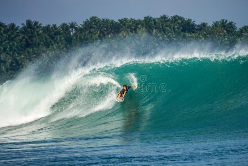 Surfer on perfect blue big tube wave, empty line up, perfect for surfing, clean water, Indian Ocean in Mentawai islands. Spot EBay