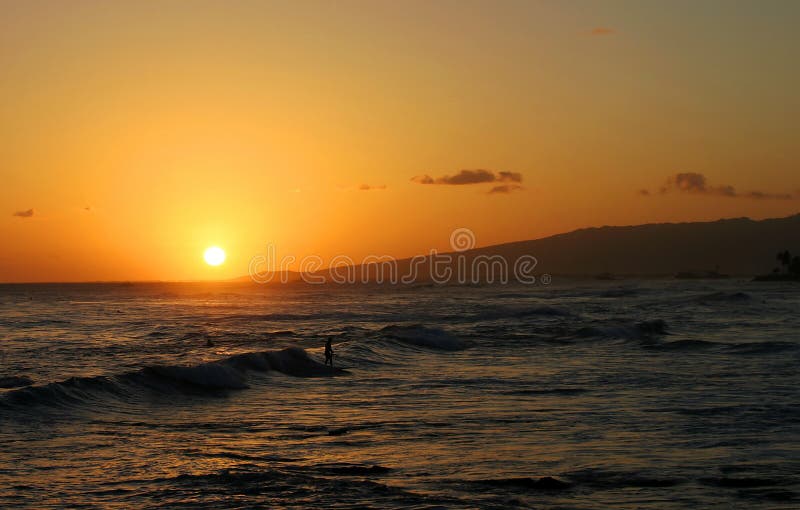 A surfer rides a wave while surfing in front of a beautiful hawaiian sunset in Honolulu, Hawaii. A surfer rides a wave while surfing in front of a beautiful hawaiian sunset in Honolulu, Hawaii.