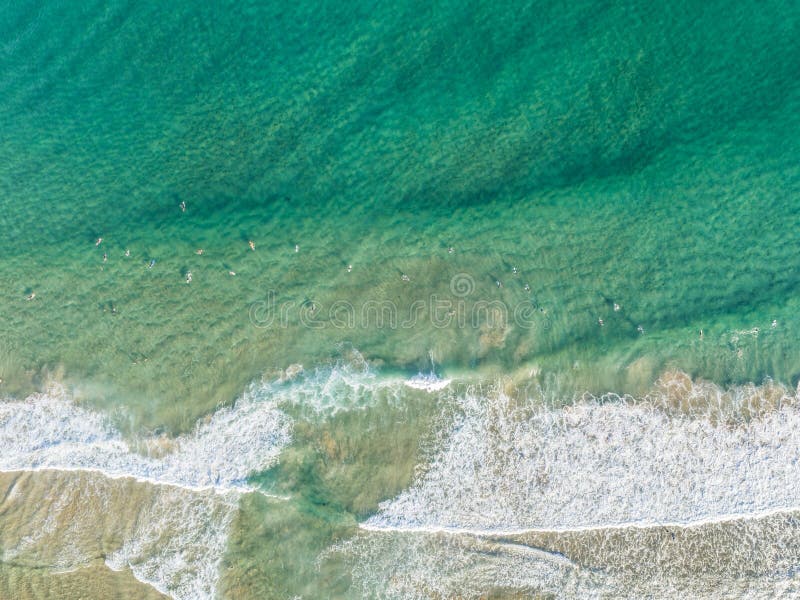 Surfers at the beach in Sydney, Australia