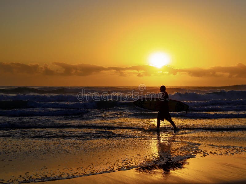 Going for a morning surf editorial stock photo. Image of adult 24170318