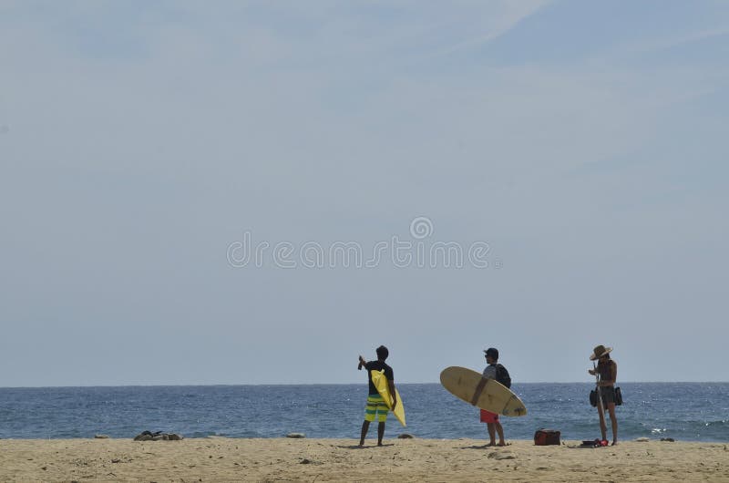 Surfers με τις ιστιοσανίδες στο τοπίο Baja, Μεξικό ακτών παραλιών στοκ εικόνες Surfers με τις ιστιοσανίδες στο τοπίο Baja, Μεξικό ακτών παραλιών στοκ εικόνες
