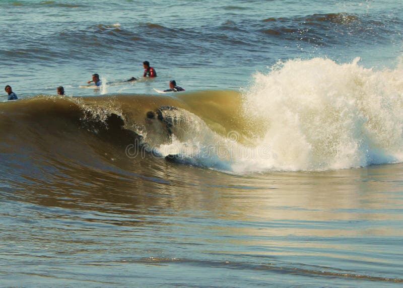 Surfing