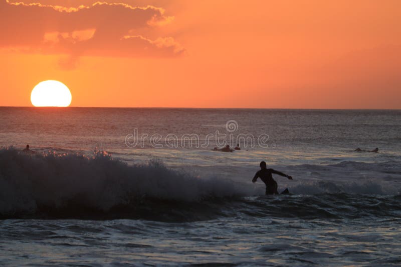 Surfing in the evening stock image. Image of balance 10646459