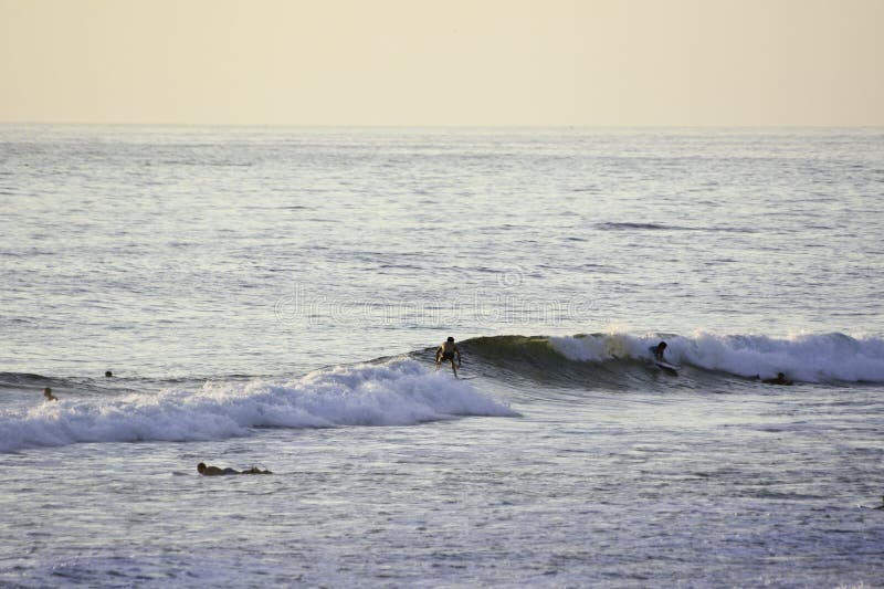 Surfing at Pacific Beach in San Diego,CA. Editorial Stock Photo Image