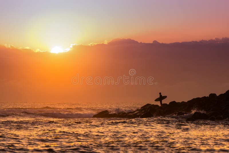 Surfingowiec pozycja na punkcie obrazy royalty free Surfingowiec pozycja na punkcie obrazy royalty free