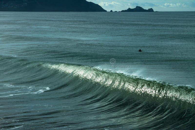 Surfingowiec w oceanu czekaniu dla perfect fala obrazy stock Surfingowiec w oceanu czekaniu dla perfect fala obrazy stock