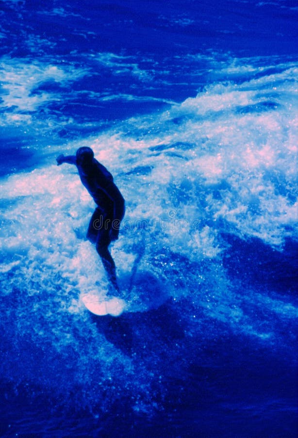 Surfista Surfista