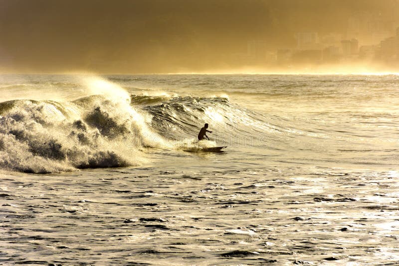 Surfista apenas na praia fotografia de stock royalty free Surfista apenas na praia fotografia de stock royalty free