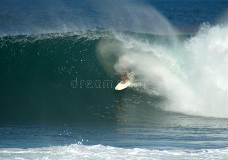 Surfista in un grande barilotto sul puntello del nord, Hawai