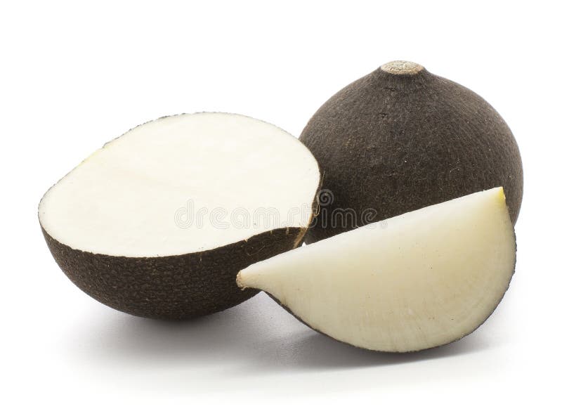 Black radish isolated on white background one whole bulb fresh cut half and slice. Black radish isolated on white background one whole bulb fresh cut half and slice